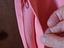 Immagine 6