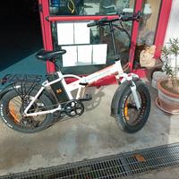 bici elettrica 