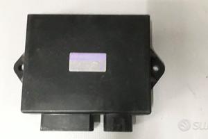 centralina YAMAHA TDM 850 4TX