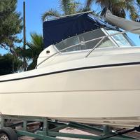 Sessa tiburon 20