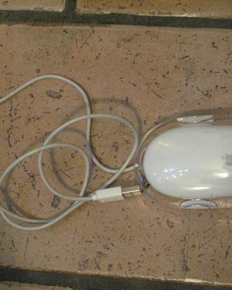 2 mouse uno appe e uno wireless