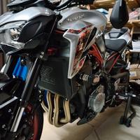 Kawasaki Z 900 - 2019