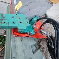 Spolonnatrice clemens