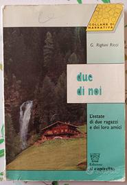 Due di noi, narrativa