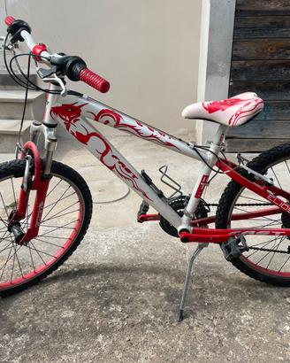 Bicicletta bimbo ragazzo