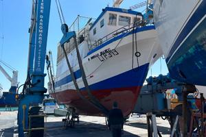 Barca con licenza da pesca