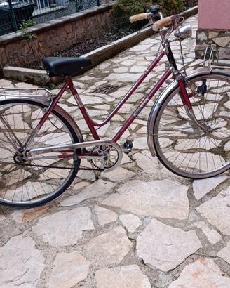bicicletta 