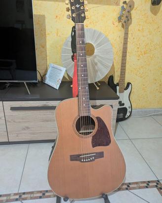 Chitarra Ibanez Artwood Elettroacustica + Custodia