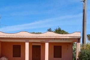 Vendita casa con terreno attorno