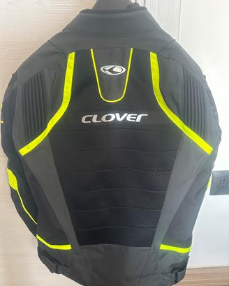 Clover nuovo