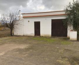 Terreno agricolo con casa contrada Grotticelli