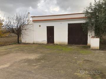 Terreno agricolo con casa contrada Grotticelli