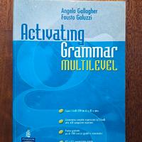 Libro inglese Activating Grammar Multilevel