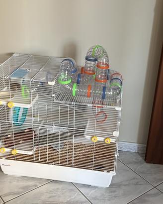 Gabbia criceto con accessori