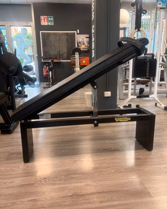 Panca Technogym piana e inclinabile addome e altro