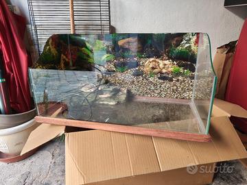 Terrario per tartarughe