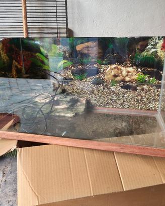 Terrario per tartarughe