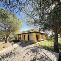 Villa Singola Immersa nel Verde a Cala Zavorra