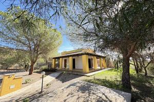 Villa Singola Immersa nel Verde a Cala Zavorra