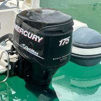 Mercury optimax 175