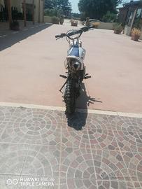 Pit bike 125