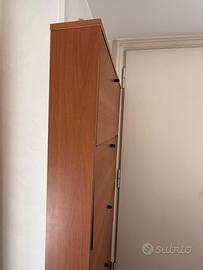 Scarpiera slim con 5 ante 