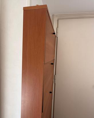 Scarpiera slim con 5 ante 