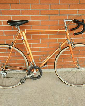 Bici da corsa