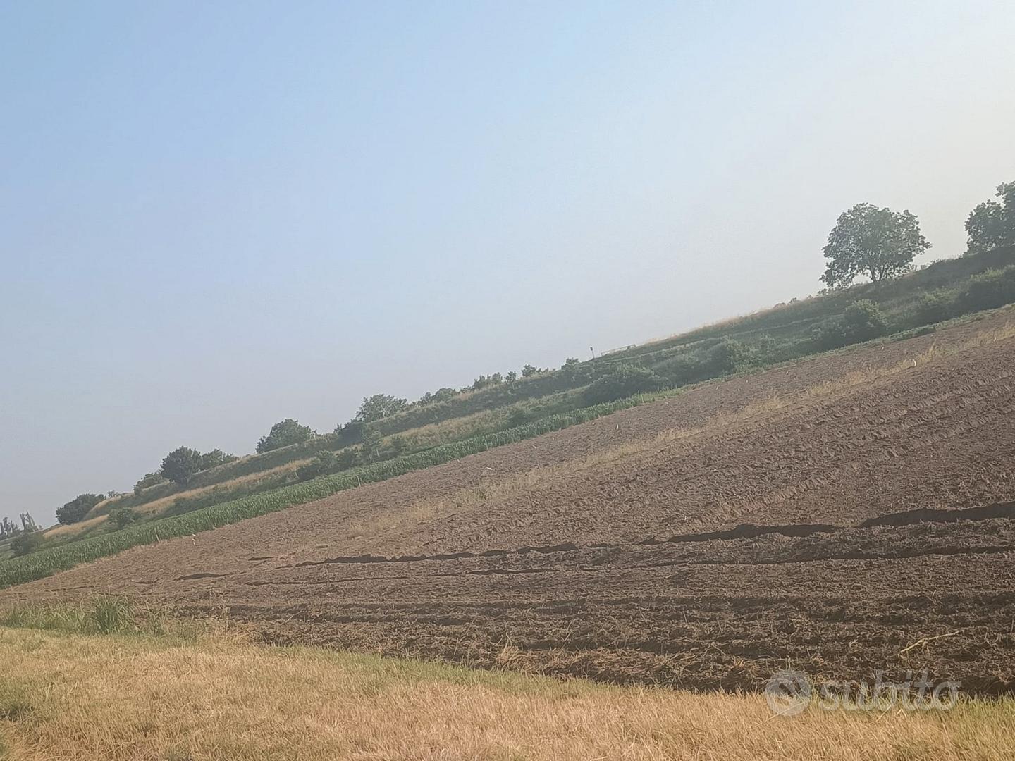Terreno agricolo - Vista 4