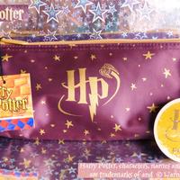 VINTAGE HARRY POTTER Warner Bros ASTUCCIO GOMMA