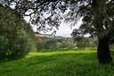 villetta-con-con-oltre-un-ettaro-di-terreno-vicino