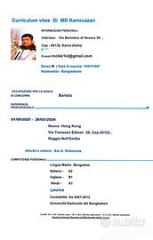 Lavapiatti e barista