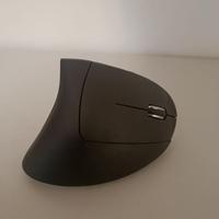 Mouse Wireless ergonomico