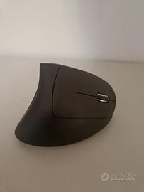 Mouse Wireless ergonomico