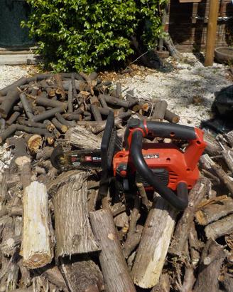 Einhell Elettrosega  a batteria FORTEX 18/20 th