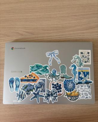 Chromebook Samsung