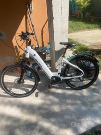 Atala curt