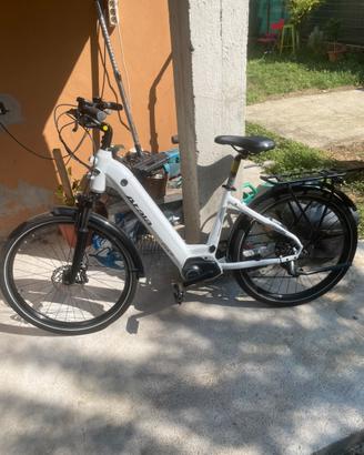 Atala curt