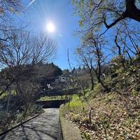Rif.RI526| villa catanzaro