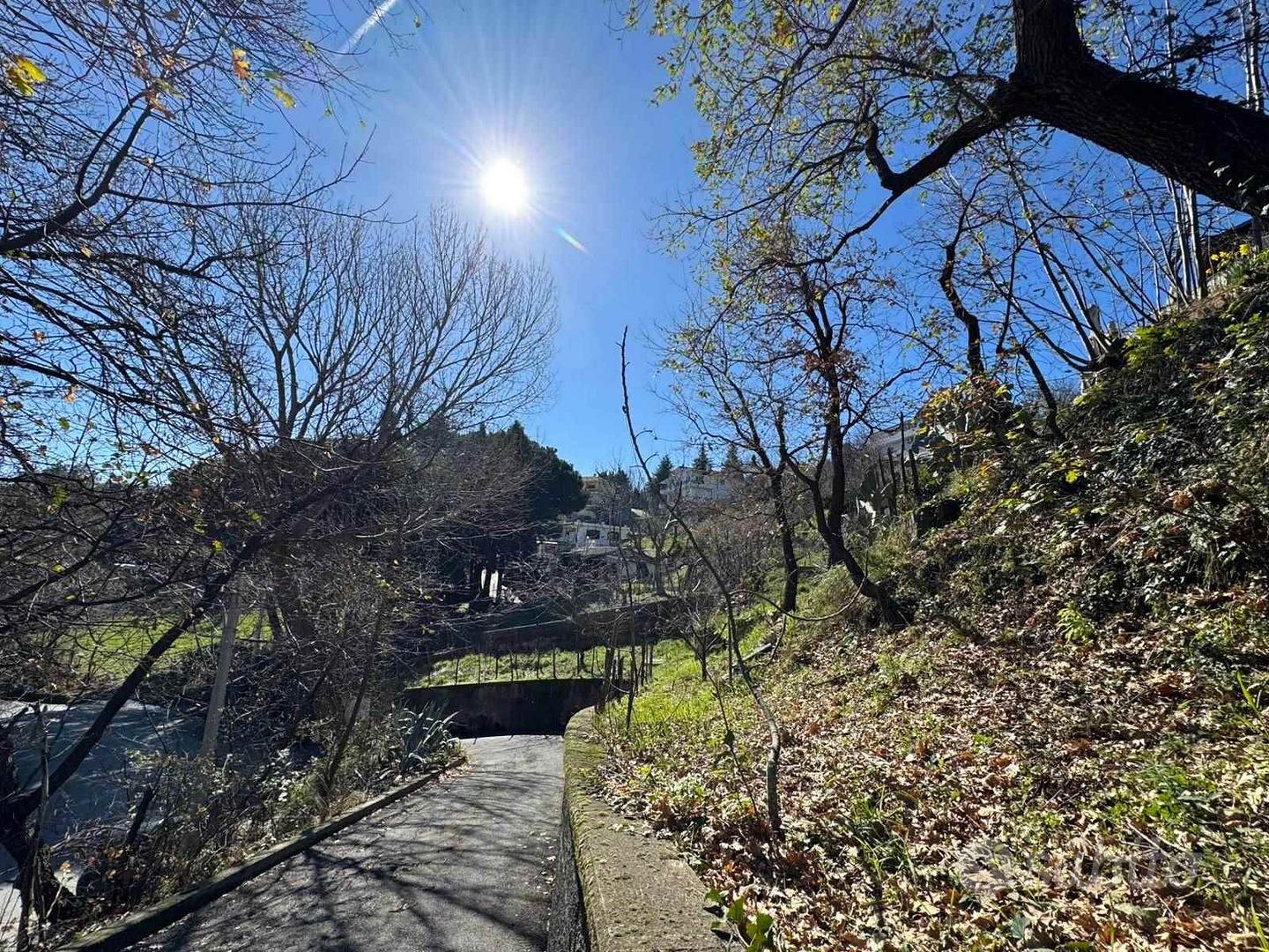 Rif.RI526| villa catanzaro