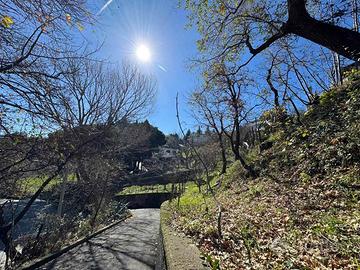 Rif.RI526| villa catanzaro