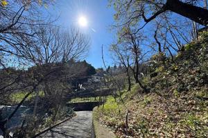 Rif.RI526| villa catanzaro