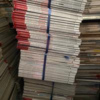 Collezione riviste di moto vari generi.