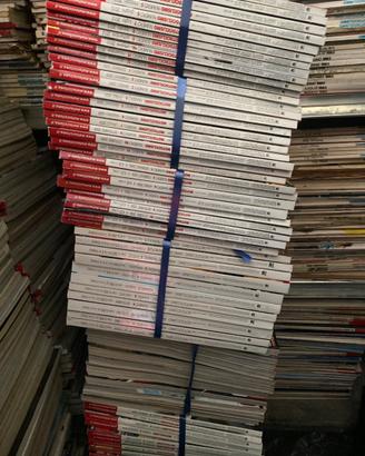 Collezione riviste di moto vari generi.