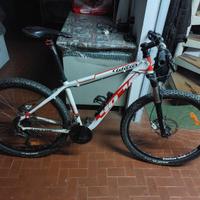 Bici MTB Triestina