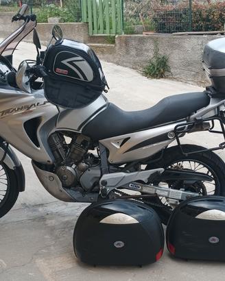 Honda XL 650 V Transalp - 2006