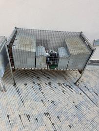 Gabbia per conigli
