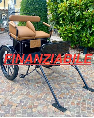 Carrozza per cavalli gig con ruote gonfiabili