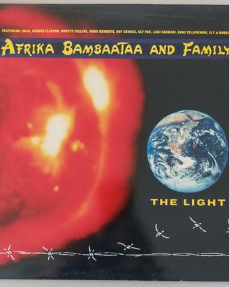 Disco vinile LP 33 giri