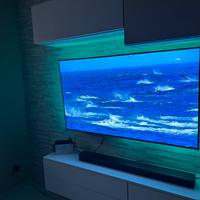 TV OLED 55” LG